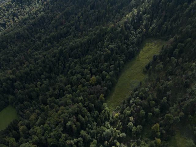 Photograph taken at Zurich, ch