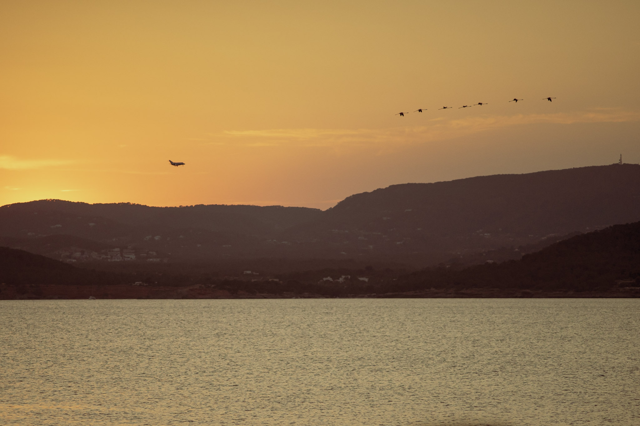Patrouille Flamingo, 2015